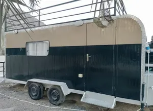 RV Ready For Adventure! 2024 Cool Camper and Custom Paint