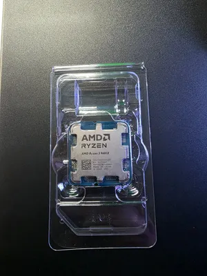 AMD Ryzen 5 9600x
