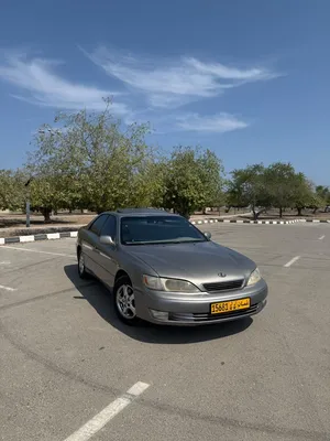 قصي سالم جمعه المخمري