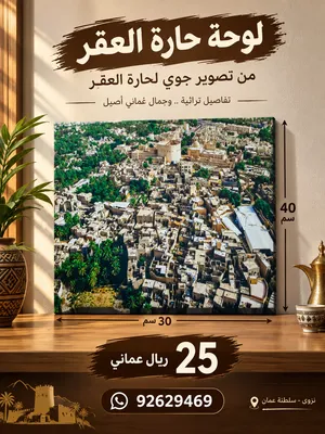 لوحات مصورة