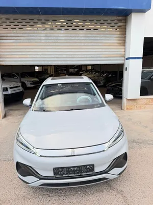 BYD YAUN PLUS 2023