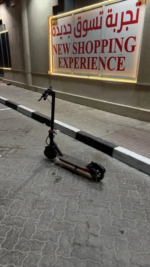 Electric scooter (winner sky)