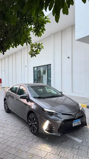 Used Toyota Corolla in Muscat