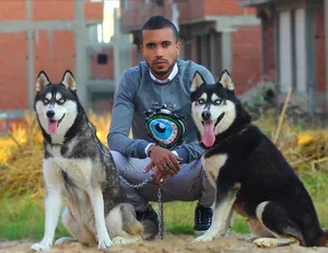 SPECIAL PROFESSIONAL TRAINER ALL TYPES OF DOGS CAN BE TRAINED PROFESSIONALLY