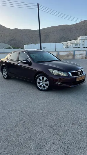 Used Honda Accord in Muscat
