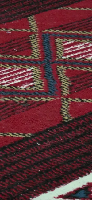 مطلوب شخص  للمشاركة في سكن – الفحيحيل