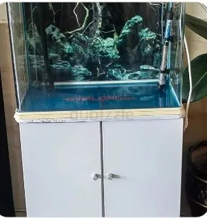 aquarium for Arijit sale
