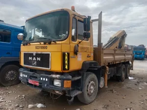 MAN HIAB TRUCK WITH PALFINGER CRANE
