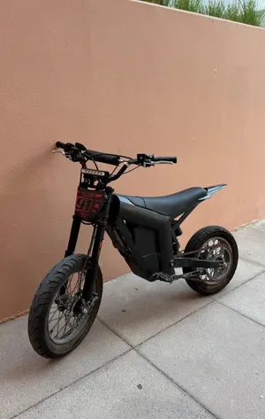 Custom Kugoo Wish 01 SE