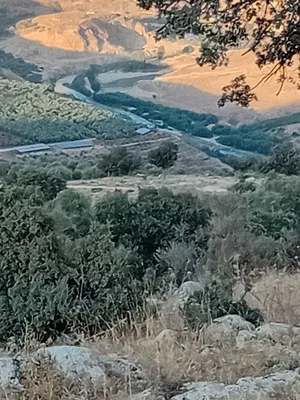 Mixed Use Land for Sale in Jerash Al-Mastaba