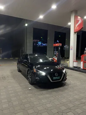التيما بلاتينيوم 2019