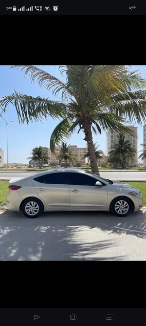 Used Hyundai Elantra in Dhofar