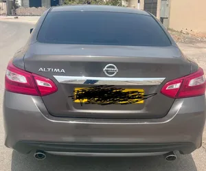 التيما البيع