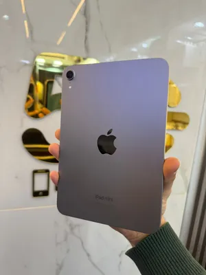 iPad mine 7
