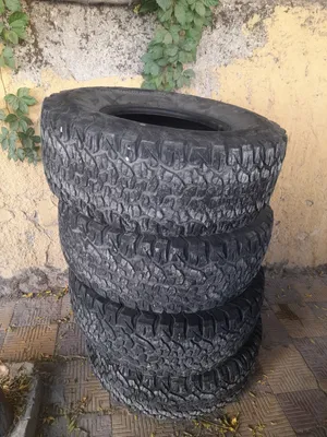 كوشوك 17خشن للبيع