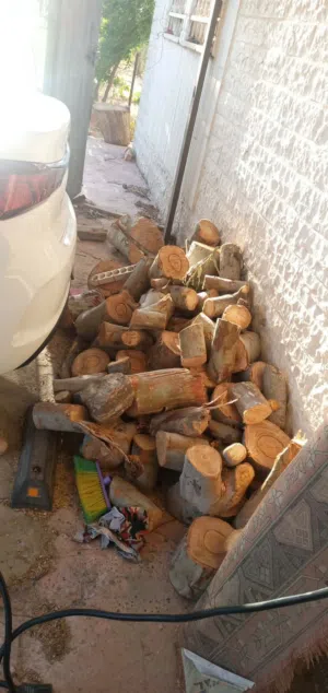 حطب  كينا  ناشف للبيع اربد ايدون