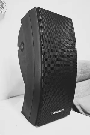 Bose 251 Environmental Speakers for sale
