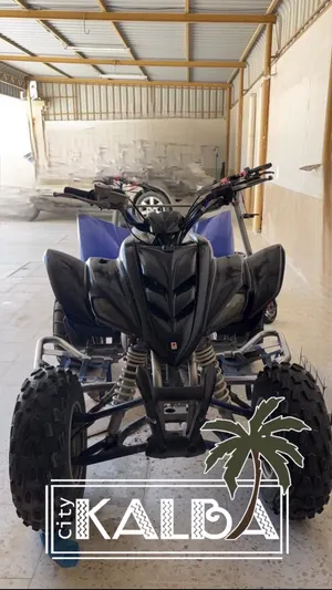رابتر 350 .