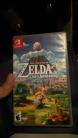 Zelda link awakening