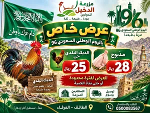 ديوك بلدي للبيع