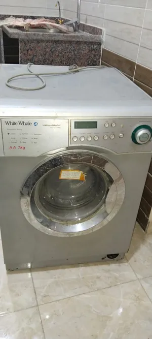 White whele