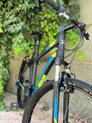 Vélo Bitwin