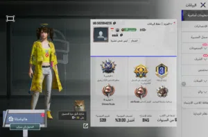 Pubg Accounts and Characters for Sale in Misrata