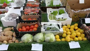 Running fruits and vegetables shop for sale with 2 visas available shop rent 160