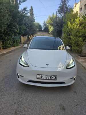 تيسلا ابيض ستاندرد كامل الإضافات فحص كامل