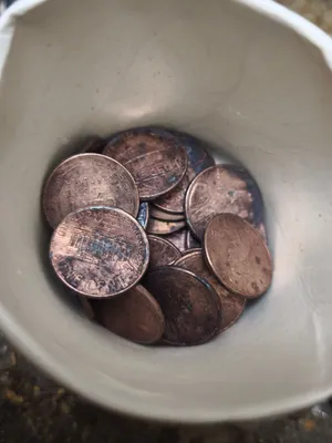 مجموعة 350 قطعة نقدية أمريكية أصلية فئة 1 سنت (بنس لنكولن)