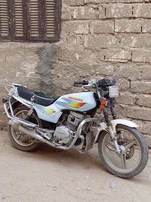 هوجن جامبو أصلي 2020