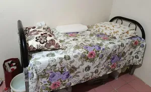 مطلوب سكن شيرنج