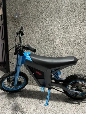 Custom Kugoo Wish 01