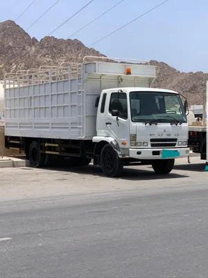 Mitsubishi Fuso Truck 2016 for Sale – Large Cargo Body