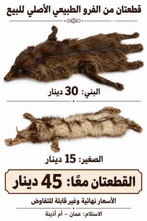 القطعة البنية الكبيرة: 30 دينار القياس التقديري: طول 100–120 سم، وعرض 30–40 سم.