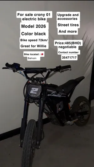 Crony 01 electric bike