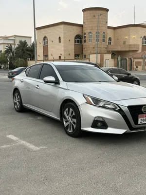 التيما 2019