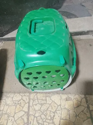 مستلزمات قطة