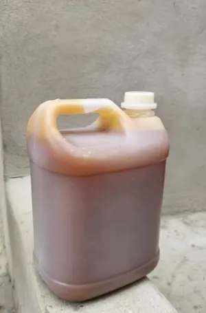 عسل سدر عصيمي ملكي درجة أولى