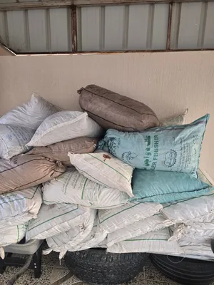 نفيعة نغال جواني كبار