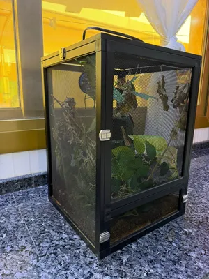 قفص زواحف For Sale – Reptile