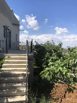 منزل منعزل ع مطل مكيف مع حديقة فواكه 3 غرف صاله مجلس بلكون مطبخ مجهز مواقف سيارات مطل على جبال عجلون