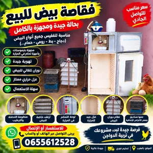 فقاصة لجميع انواع البيض بحجم 360 بيضة