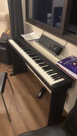 Piano Casio professional