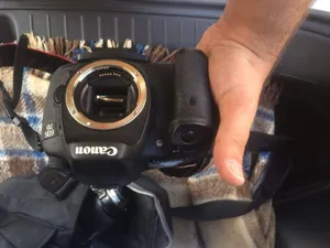 Canon 7D كاميرا Mark 2 بدون العدسة