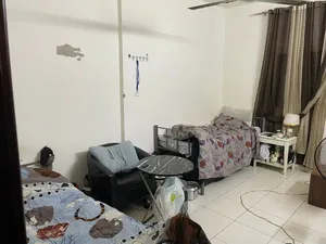 محتاج شخص يسكن معي فالغرفة الشارقة النهضة قورب اللولو الريان قورب بقالة باكر محبي والسعر جدا مناسب