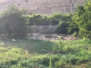 ارض للبيع في وادي شعيب ارص مميزه وفرصه استثمارية وهي على شارع مباشرة