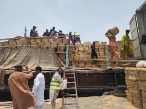الحمد لله التبن الجديد نظيف موجود باكستاني