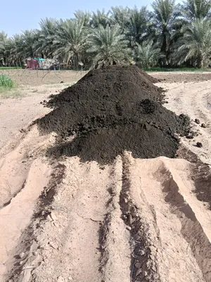 cows fertilizer