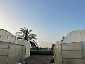 جرين هاوس موسمي فقط بدون تبريد